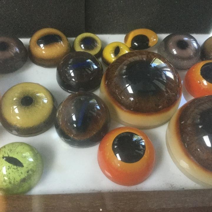 Glass Animal Eye