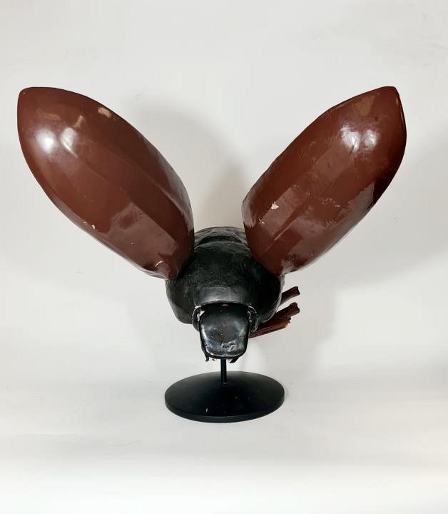 Large Model Bug