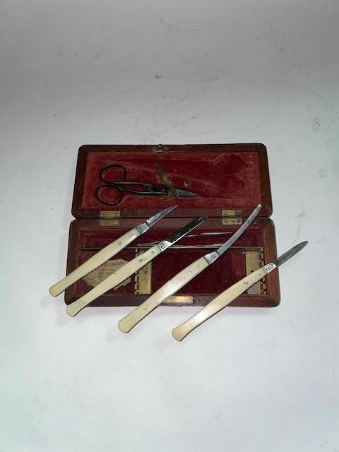 Dissection Set