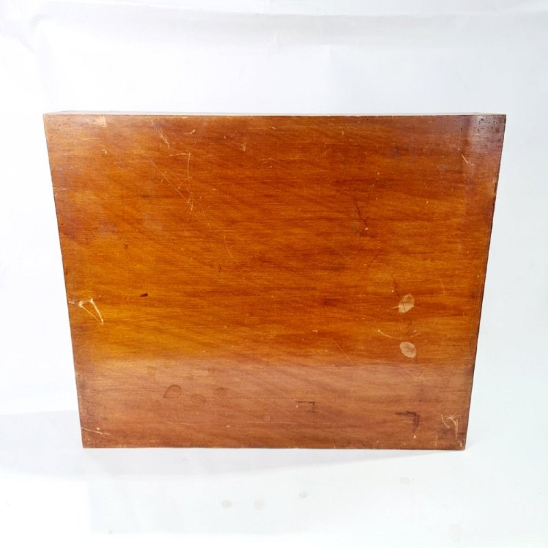 Collection Of Moths In Hinged Case (distressed)