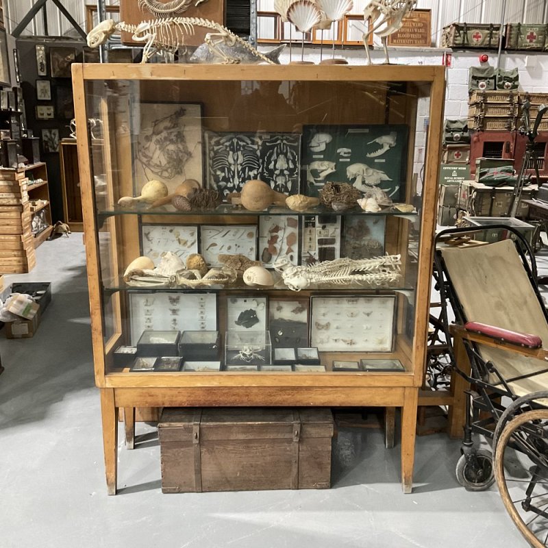 Glass Display Cabinet