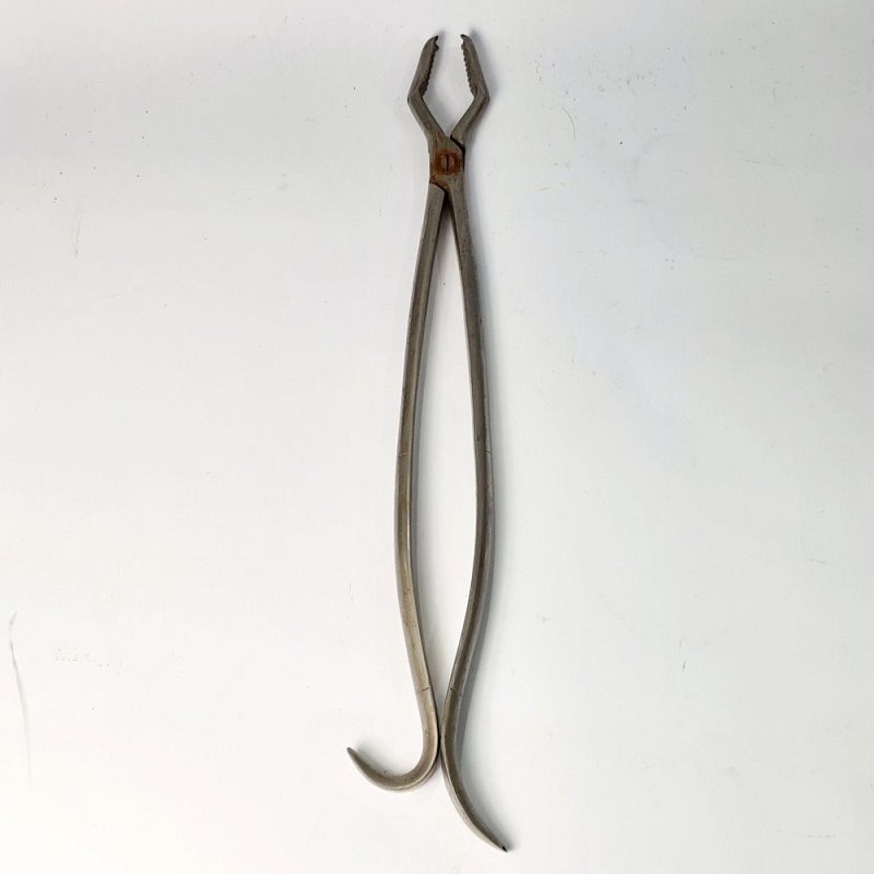 Bone Holding Forceps
