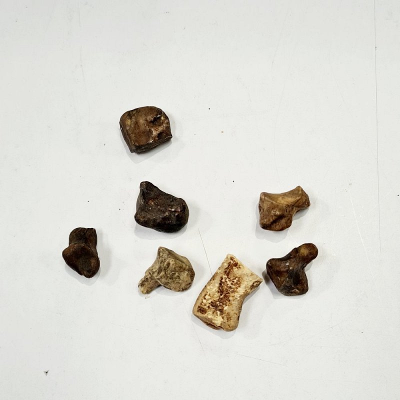 Imitation Finger Bones (Runes)