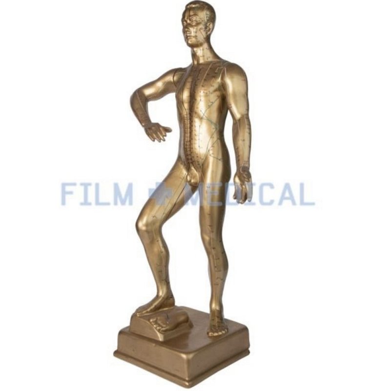 Gold Coloured Acupuncture Figure
