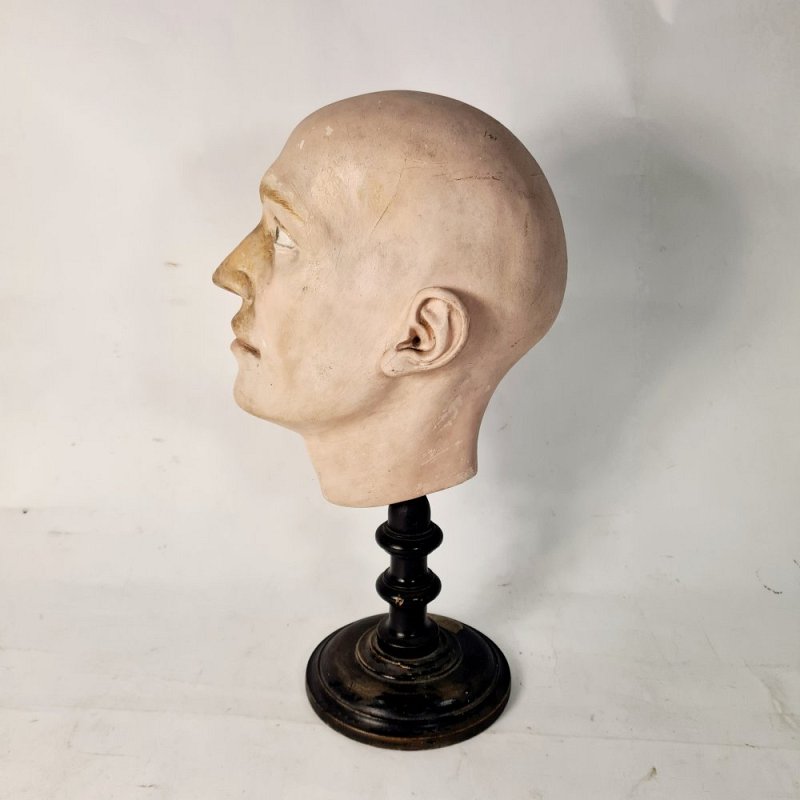 Period Anatomical Half-Head on Turned Wooden Base