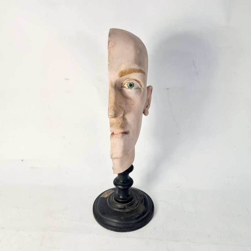 Period Anatomical Half-Head on Turned Wooden Base