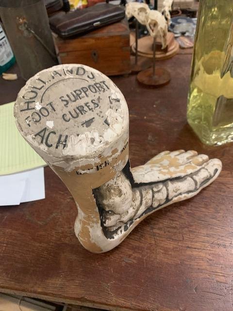 Cutaway Foot