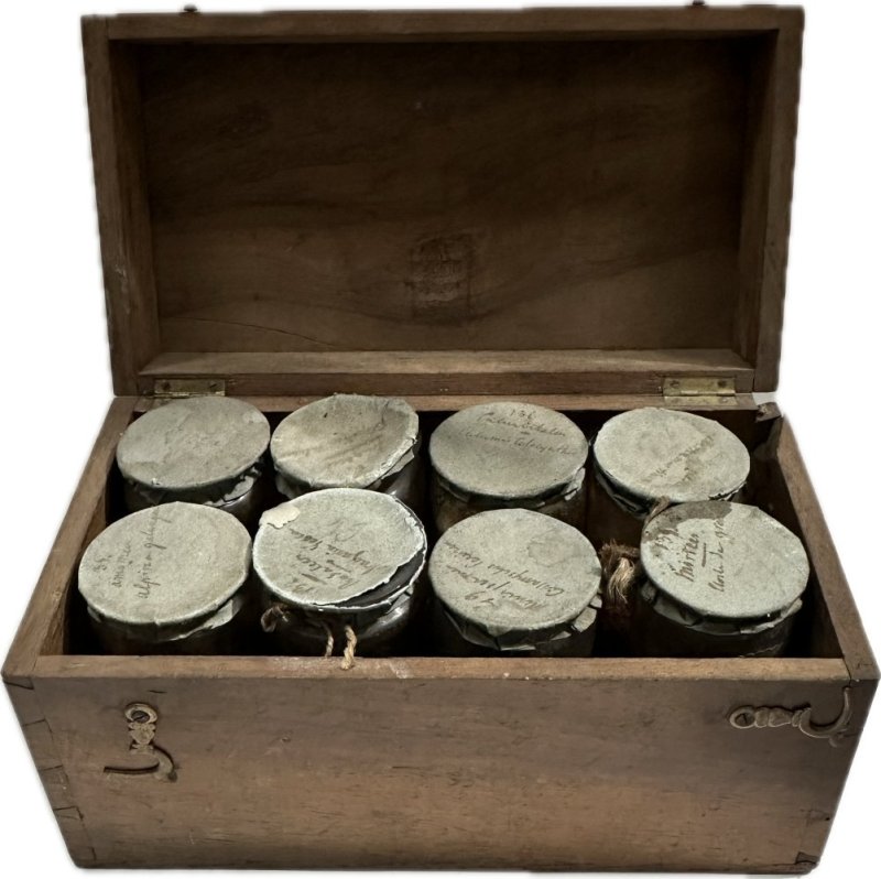 Dry Specimen Jars in Wood Case