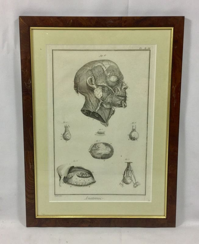 Medical drawing