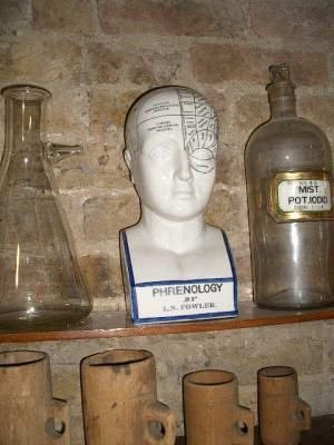 Phrenology head 19th c.