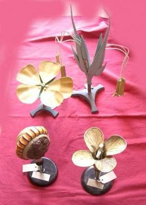 large selection of flower models