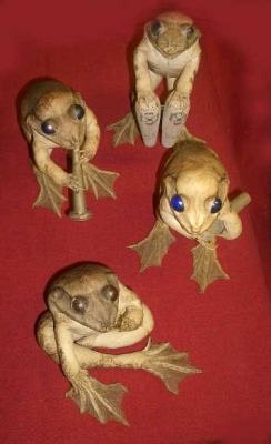 GROUP OF STUFFED TOADS