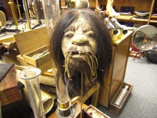 Shrunken Head